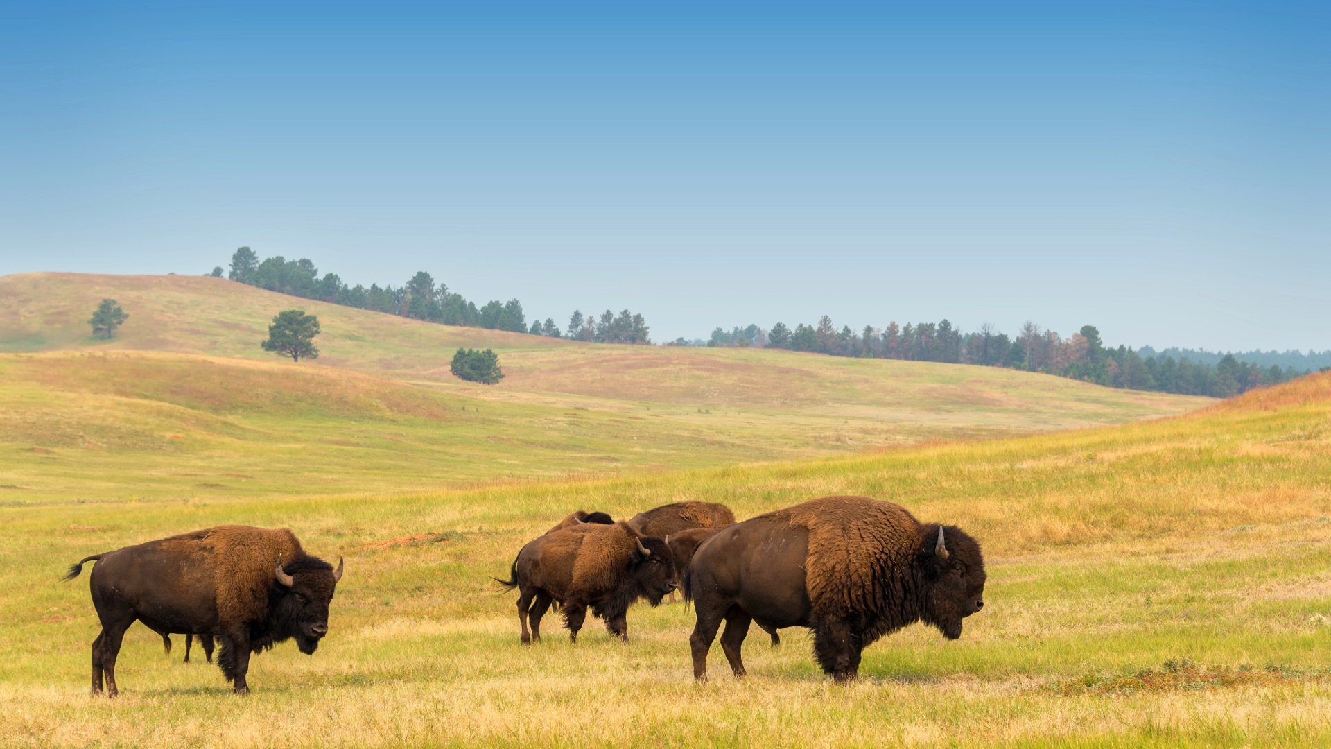 North Dakota Section 8 Housing Application Guide State Guide